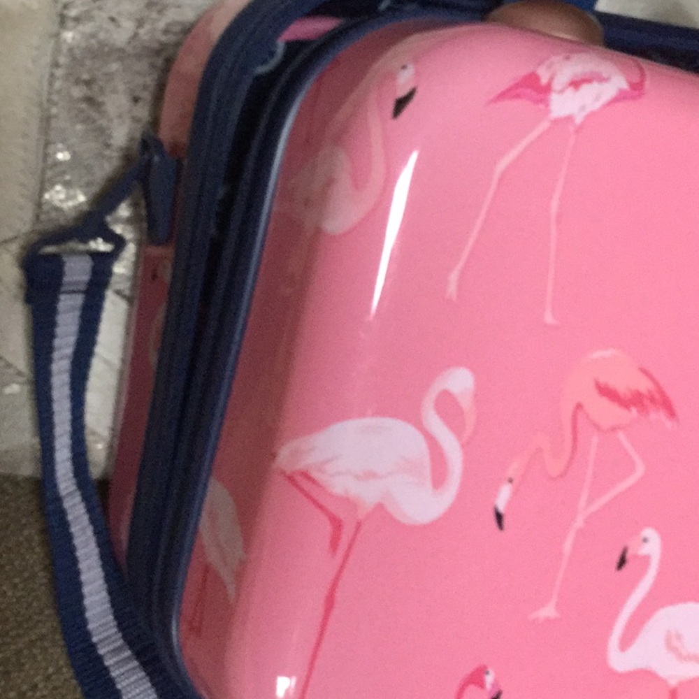 AS IS Flamingo travel case vacay rodeo queen farmer’s market festival beach - Picture 3 of 13